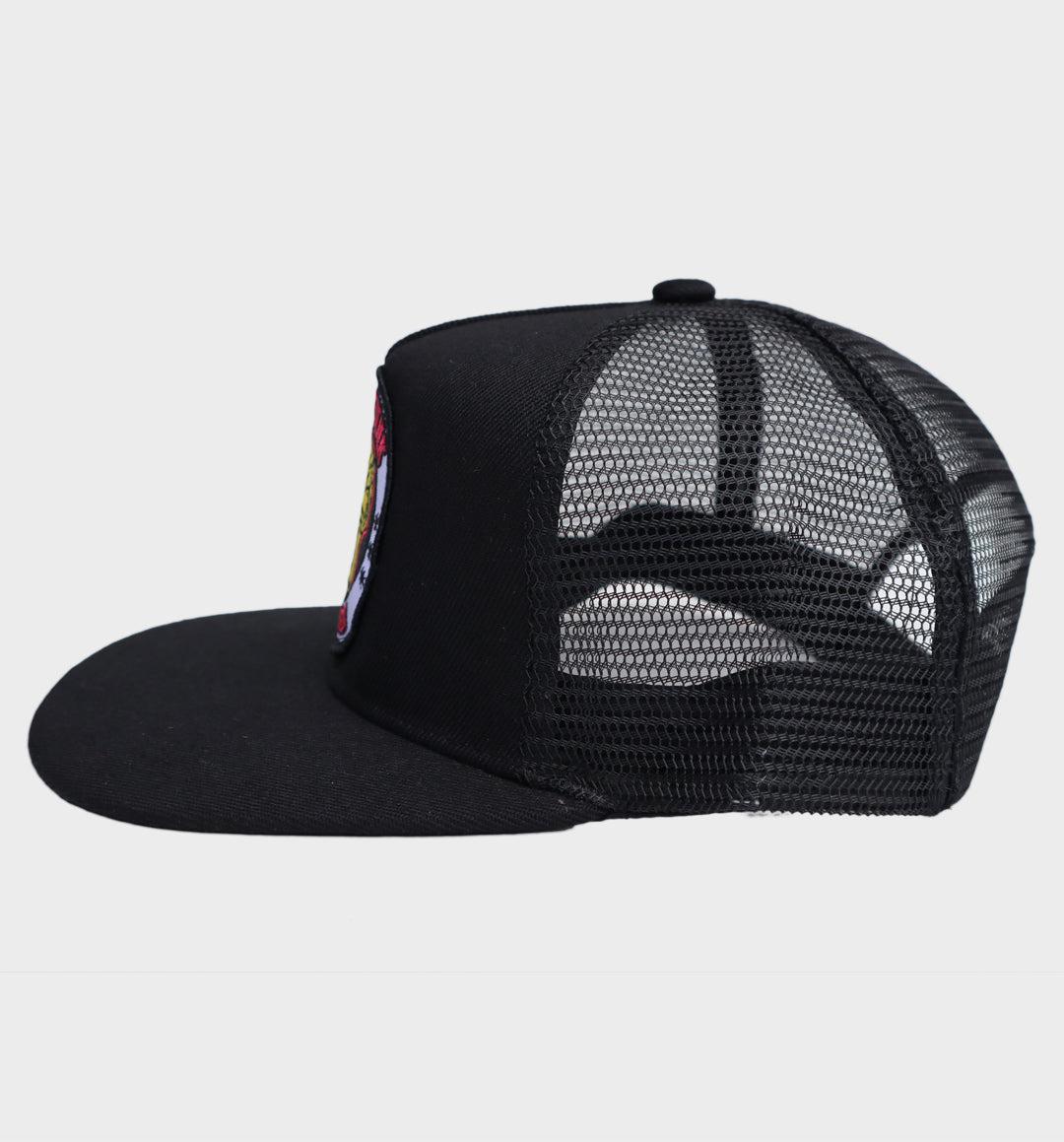 TIGER NEW YORK TRUCKER SNAPBACK HAT