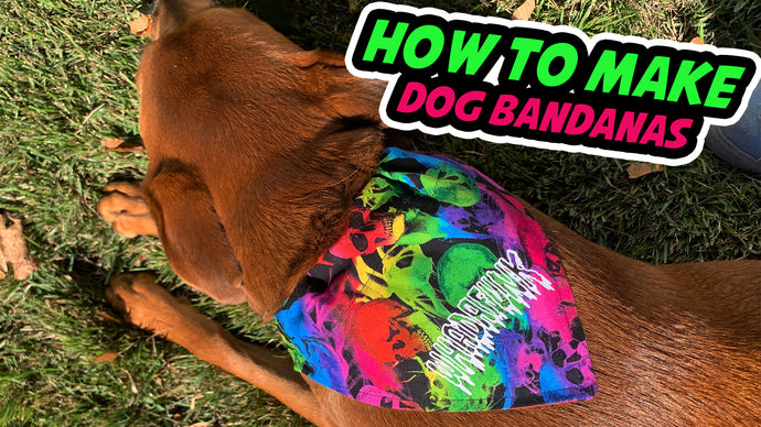 DIY Dog Bandana - How To Make A Dog Bandana