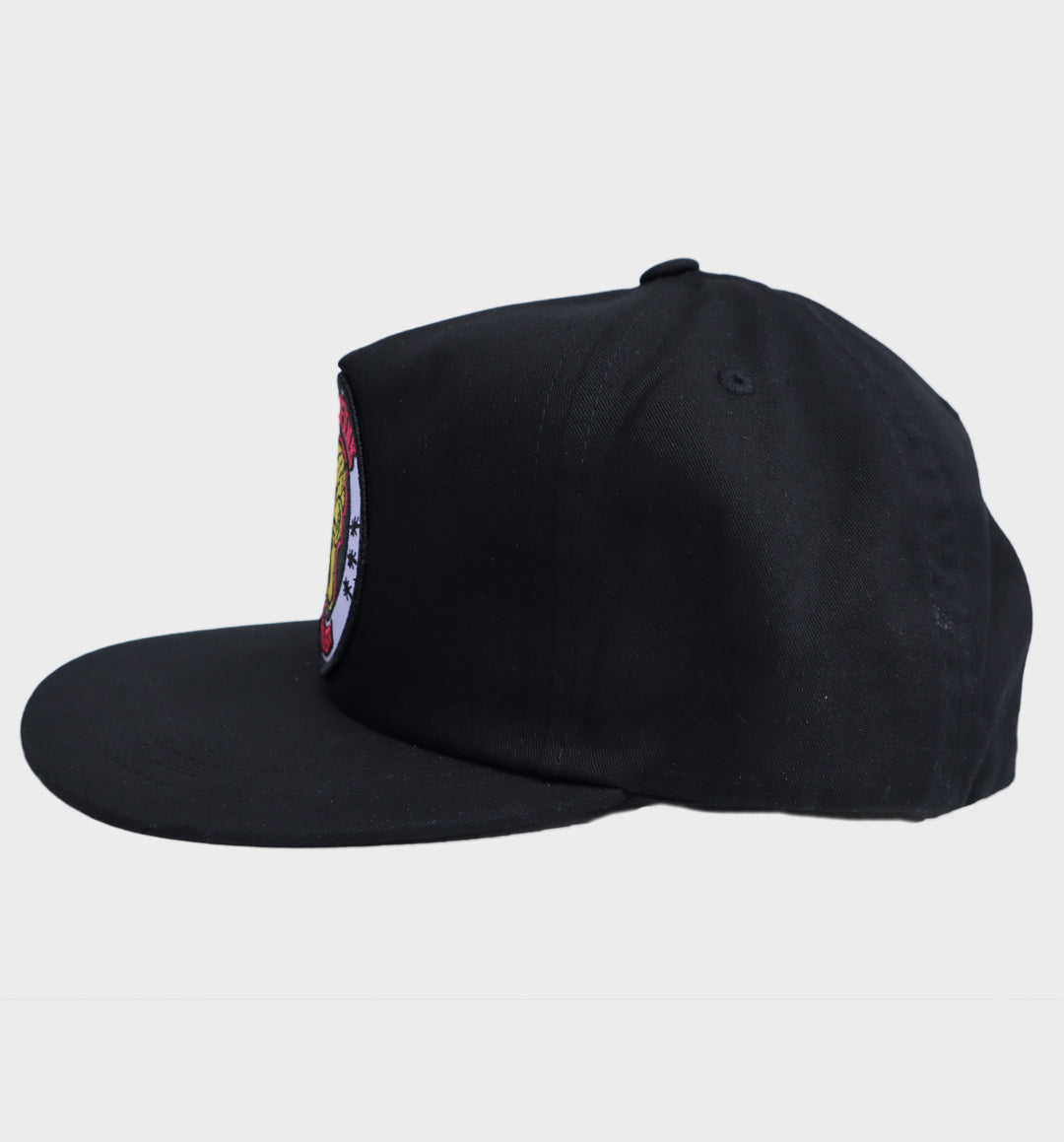 TIGER NEW YORK SNAPBACK HAT