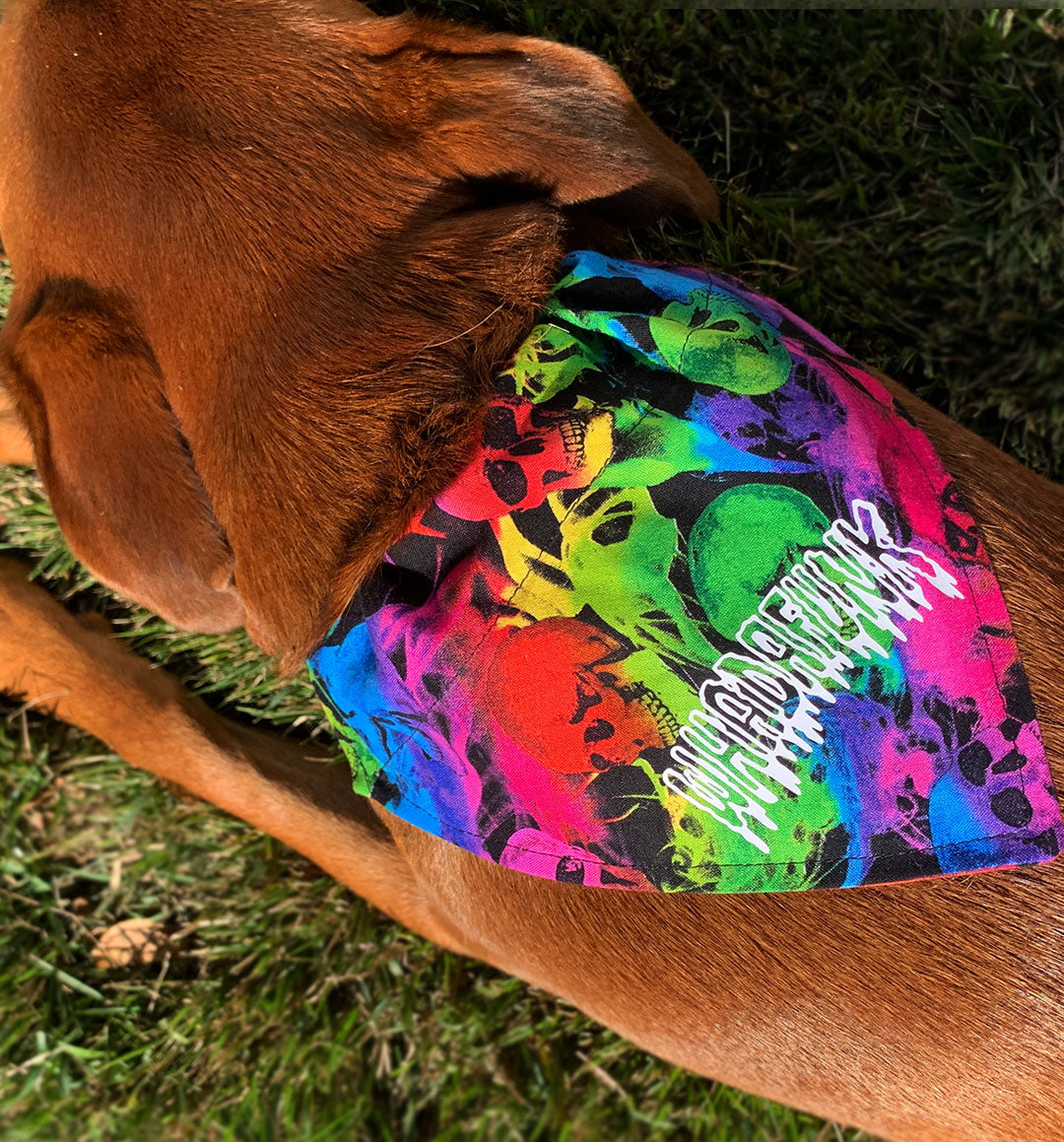 WHADAFUNK Tie-Dye Skull Pet Bandana with bold tie-dye pattern and skull graphic for stylish cats and dogs.